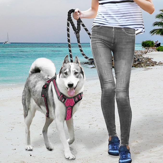 BARKBAY No Pull Dog Harness Large Reflective Dog Harness with Front Clip and Easy Control Handle for Walking Training Running with ID tag Pocket(Pink/Black,L)