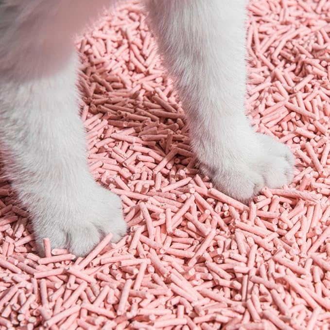 Tofu Cat Litter Natural Clumping Tofu Cat Litter, Fast Clumping and Easily Scoop-able 5.5lb/88oz 5 Scents - Peach, 3 Pack