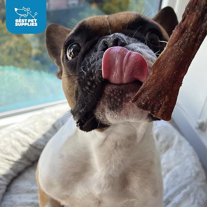 Best Pet Supplies GigaBite 12 Inch Beef Esophagus Dog Treat Strips by - Pack of 10, TES-12-10