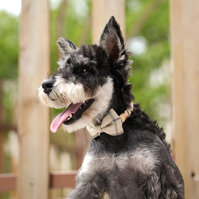 Beirui Cute Small Dog Harness Collar and Leash Set with Bowtie, Soft Adjustable Plaid Puppy Harness for Small Sized Dogs Cats Walks Parties and Photoshoots(Beige,S:Chest 17-23")