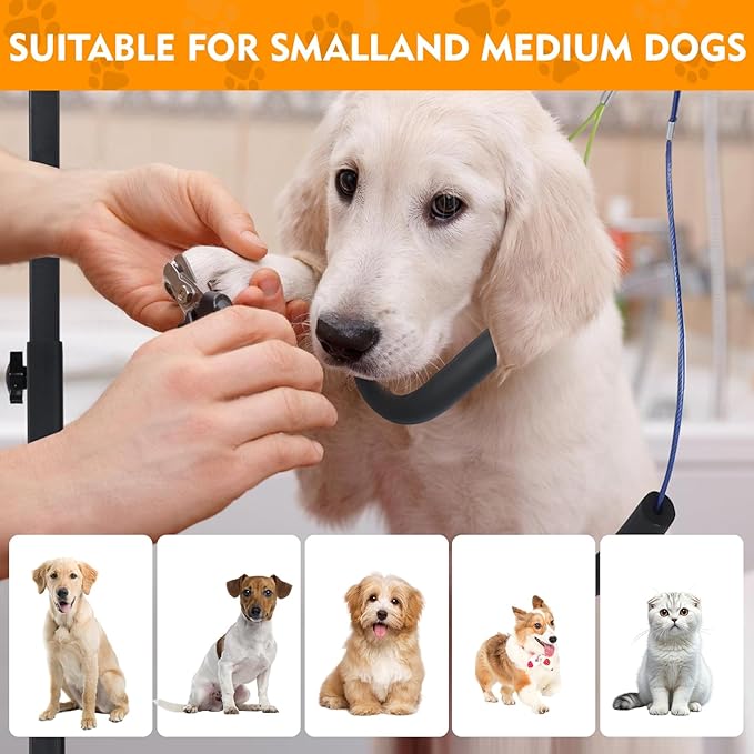 Dog Grooming Arm, Adjustable Pet Grooming Arm with Clamp for Small and Medium Dogs,Grooming Loop and No Sit Haunch Holder (Black, 29" H Arm + Heavy Duty Clamp + Hammock)