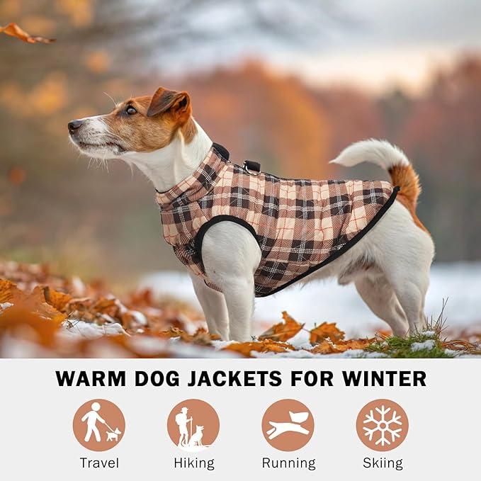 SCENEREAL Dog Winter Coat Boy Girl- Warm Jacket with Built-in Harness for Small & Medium Dogs, Fall Winter Waterproof Cold Weather Coat, Fleece Puffer Vest - Windproof Snow Puppy & Pet Clothes