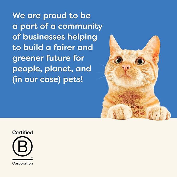 Applaws Natural Limited Ingredient Crunchy Cat Treats, High-Protein & Grain-Free Crunchy Tuna Snacks for Cats (12 x 2.0oz Bags)