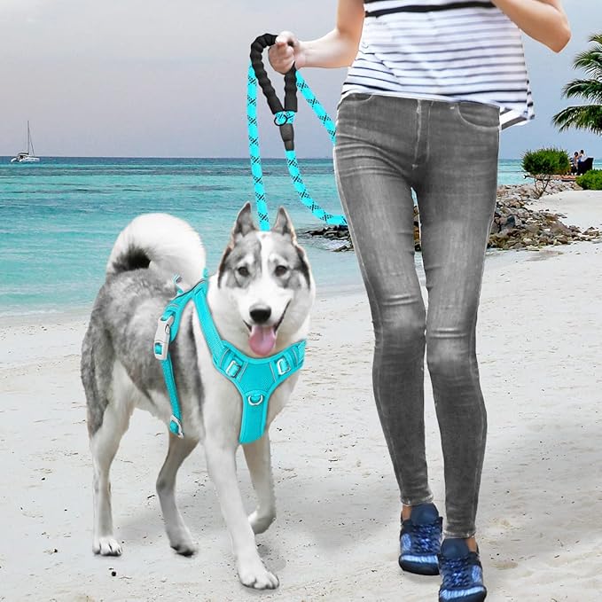 BARKBAY No Pull Dog Harness Large Reflective Dog Harness with Front Clip and Easy Control Handle for Walking Training Running with ID tag Pocket(Ocean Blue,L)