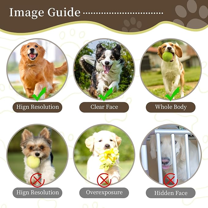 Ships Next Day Personalized Pet Memorial Stone for Loss of Dog Cat, Custom Photo Name Memory Headstone Garden Grave Marker Bereavement Sympathy Gift