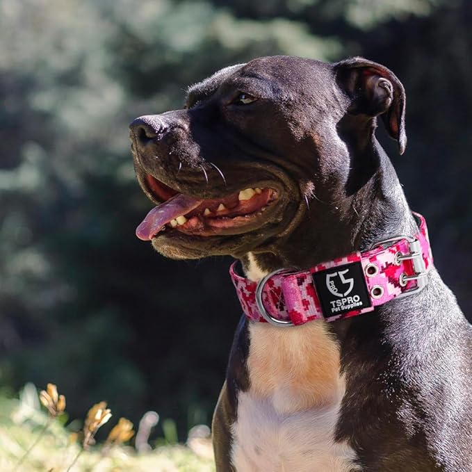 TSPRO Tactical Dog Collar, Adjustable, with Patch & Double Needle Metal Buckle, Heavy Duty for Medium to Large Dogs, Durable for Walking, Running, Hiking & Training (Camo Khaki M+)