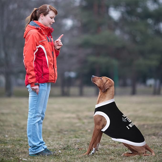 12 Pieces Dog Shirts Pet Printed Clothes with Funny Letters Summer Pet T Shirts Cool Puppy Vest Breathable Dog Outfit Soft Cat Sweatshirt for Chihuahuas Cats Accessories, 12 Styles(Small)