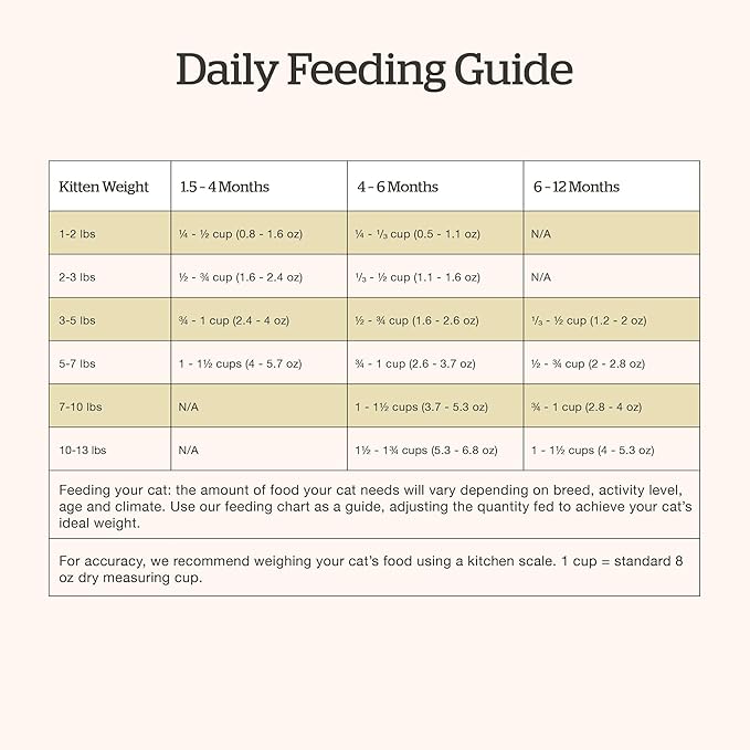 Now Fresh Grain-Free Dry Kitten Food with Turkey, Salmon & Duck, Healthy Kibble for Growing Cats with Real Meat & Fish, Chicken-Free, with Pumpkin & Probiotics for Sensitive Stomachs, 3 lb Bag