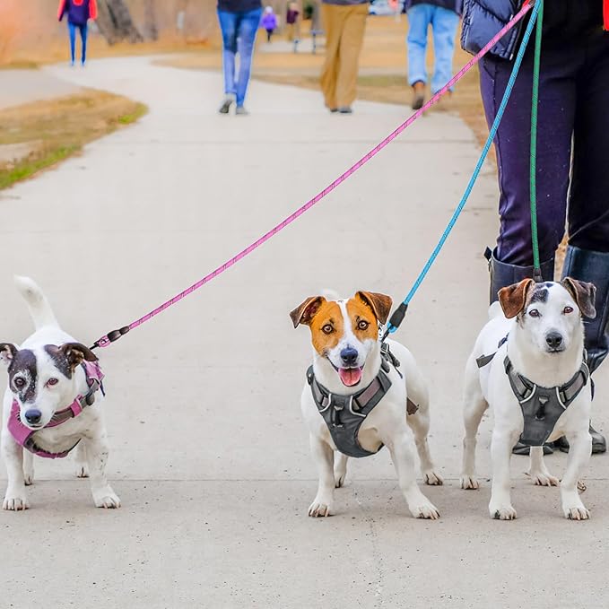 BEAUTYZOO Heavy Duty Rope Dog Leash 3 Pack, 6FT Nylon Pet Leash with Reflective Thread, Soft Padded Handle Thick Lead Strong Dog Leashes for Large Medium Dogs Small Puppy Training 6'*1/2 inch
