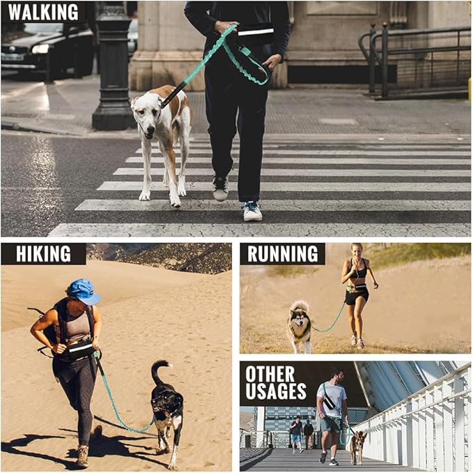 Plutus Pet Hands Free Dual Handle Retractable Bungee Leash with Reflective Stitches, Adjustable Waist Leash for Dog Walking Running Jogging, Medium Large Dogs