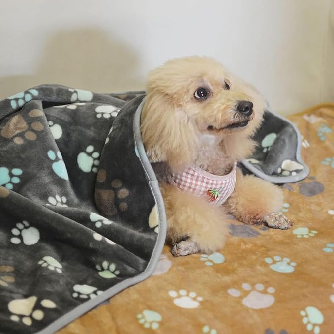 SORKUT 1 Pack 6 Dog Blankets Cat Soft Fluffy Fleece Pet Blanket Puppy Blanket Warm Paw Print Design Puppy Kitten Doggy,Large(40"x30")