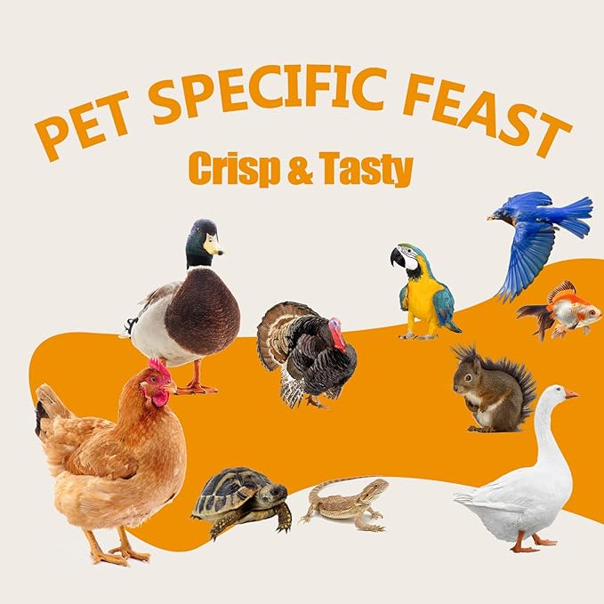 2LB Mealworms for Chickens Bulk - Non GMO High Calcium Dried Meal Worms for Wild Birds,Turkeys, Reptiles Food for Laying Hens Worms More Protein Than BSF Larvae for Chickens Treats Grubs