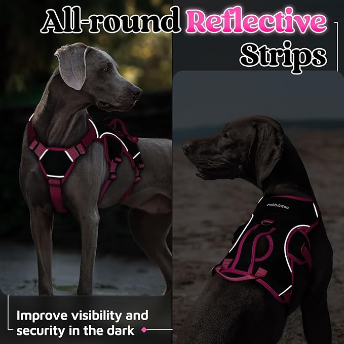 rabbitgoo Escape Proof Dog Harness Medium, Soft Padded Full Body Pet Harness, Reflective Adjustable No Pull Vest with Lift Handle and Leash Clip for Walking Hiking Training, Pink & Black, M