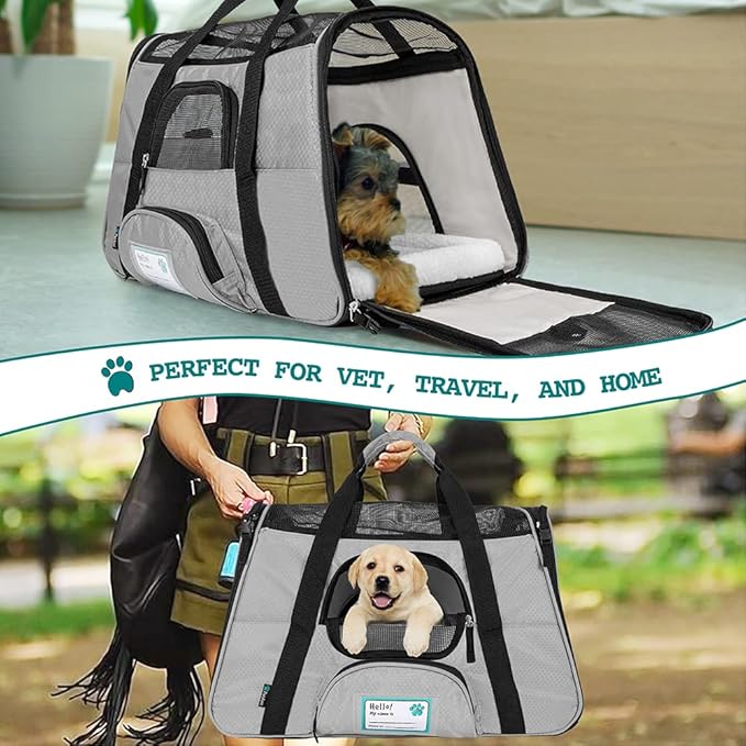 PetAmi Airline Approved Pet Carrier for Cat, Soft Sided Dog Carrier for Small Dogs, Cat Travel Supplies Accessories for Indoor Cats, Ventilated Pet Carrying Bag Medium Large Kitten Puppy, Large Gray