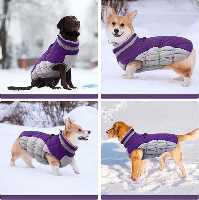 FUAMEY Dog Coat for Medium Dogs,Waterproof Dog Winter Jacket with Harness Built in Puppy Cold Weather Coats Reflective Pet Vest with Zipper Warm Fleece Dogs Snowsuit Windproof Purple M