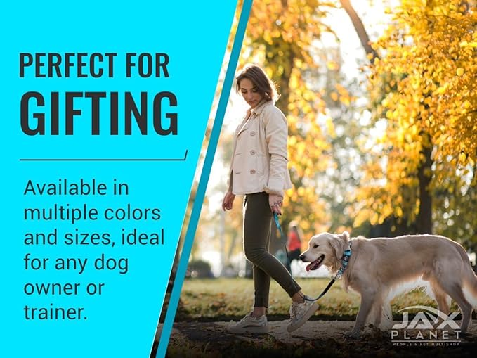 Orange Martingale Collar for Dogs - Heavy Duty Nylon Pet Collars for Escape-Free, No Pull Training & Walking with Alloy Metal Release Buckle & Reflective D Ring, One Time Adjustment, Safe & Secure, S