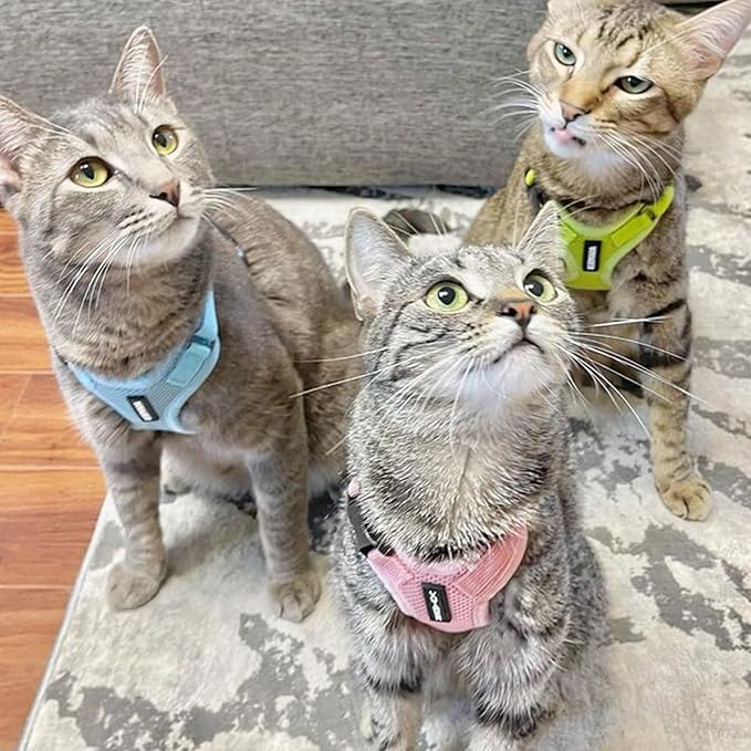 Voyager Step-in Lock Adjustable Cat Harness w. Cat Leash Combo Set with Neoprene Handle 5ft - Supports Small, Medium and Large Breed Cats by Best Pet Supplies - Pink, S (Pack of 2)