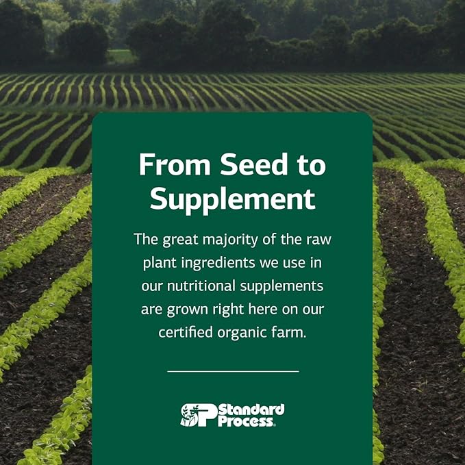 Standard Process Canine Musculoskeletal Support - Bone & Joint Health Formula for Pets - Canine Musculoskeletal Support Supplement - Supplement for Dogs to Aid Joint Comfort & Muscle Health - 120 g