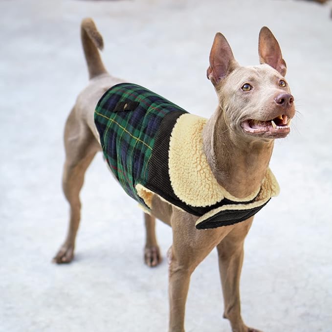 Winter Coat for Small and Medium Dogs, Puppy Plaid Jacket, Cotton Coat for Cold Weather, Windproof Warm Dog Garments, Pet Thickened Outfits Indoor Outdoor, Green XL