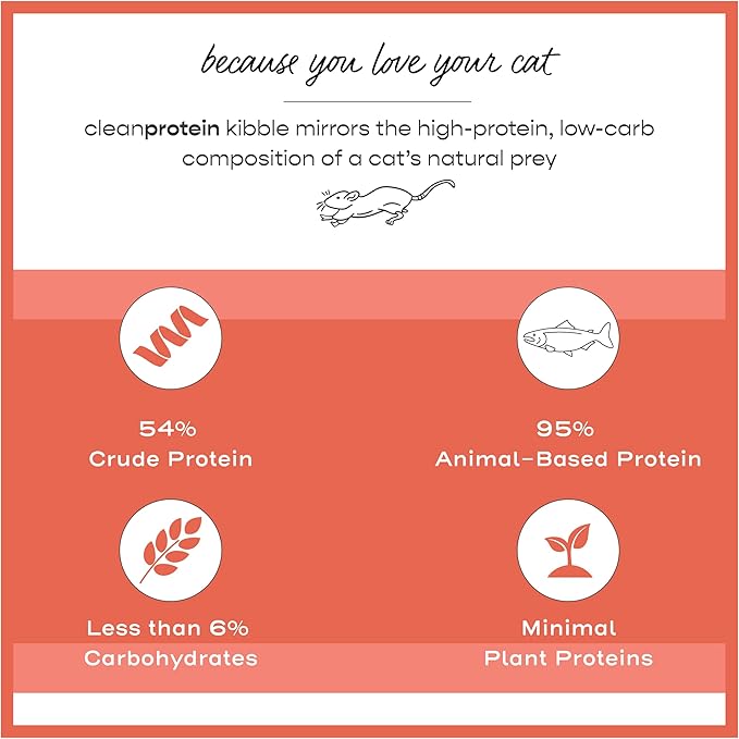 Dr. Elsey's Cleanprotein Salmon Formula Dry Cat Food, 6.6 Lb