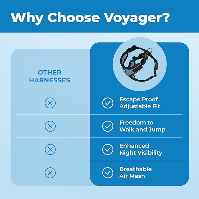 Voyager Escape Proof Cat Harness and Leash Set with Reflective Stitching, Neoprene Handle 5ft - Supports Small, Medium and Large Cats, Kittens for Walking by Best Pet Supplies - BT-Baby Blue, XXS