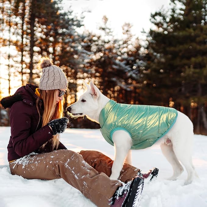 ASENKU Dog Winter Coat - Waterproof Windproof Dog Jacket, Warm Snowproof Doggie Puffer Vest for Cold Weather, Lightweight Snow Coats for Small Medium Large Dogs (Mint Green, L)