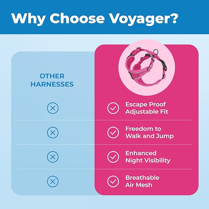 Best Pet Supplies Voyager Escape Proof Cat Harness and Leash Set with Reflective Stitching, Neoprene Handle 5ft - Supports Small, Medium and Large Cats, Kittens - Fuchsia, M (Chest: 16.5-19.5")