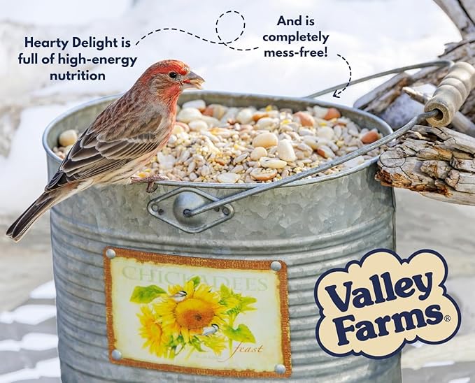 Valley Hearty Delight Wild Bird Food for Outside Feeders, No-Mess Wild Bird Seed with Sunflower Hearts & Peanut Kernels, Filler Free Bird Seed Perfect for Outdoor Patios, (4 LBS)