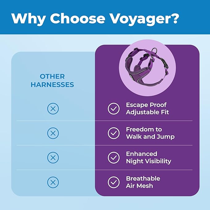 Voyager Escape Proof Cat Harness and Leash Set with Reflective Stitching, Neoprene Handle 5ft - Supports Small, Medium and Large Cats, Kittens for Walking by Best Pet Supplies - Purple, S