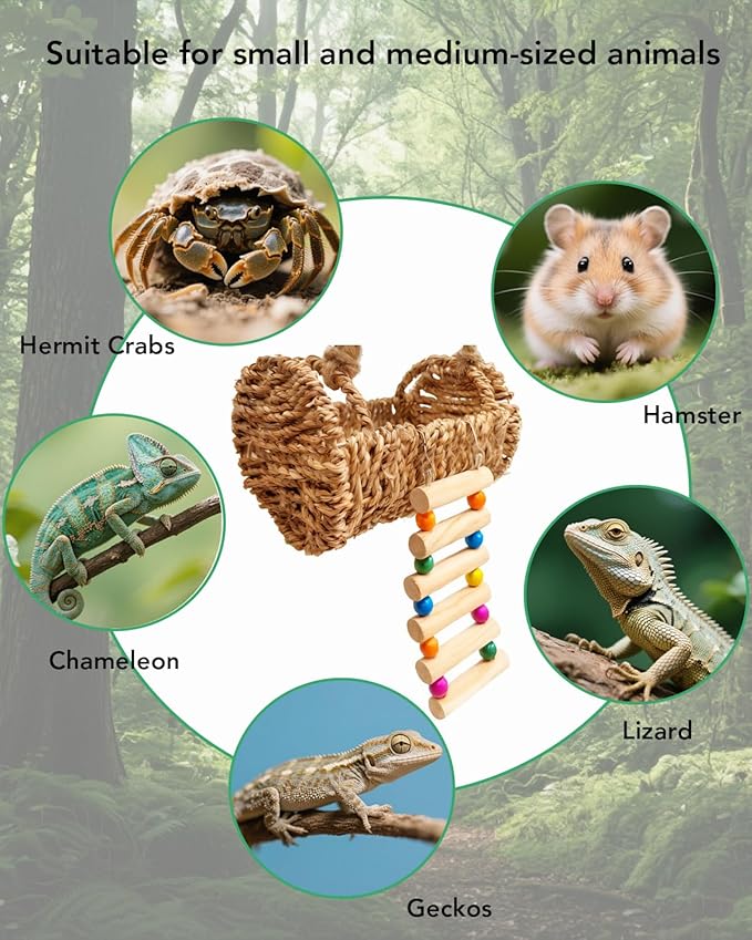 Hermit Crab Hideout with Natural Wood Ladder - Aquarium Climbing Bridge Ramp for Small Animals - Habitat Accessory for Crabs,Hamsters,Birds