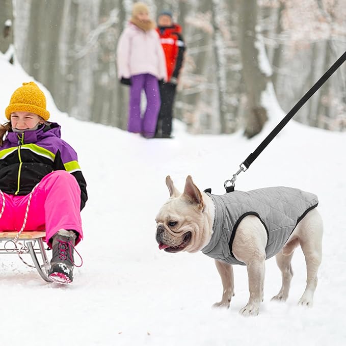 SCENEREAL Winter Dog Vest Coat with Harness Built in, Warm Dog Jacket for Small Medium Dogs, Puppy Cold Weather Coats with Zipper, Fleece Puffer Vest Windproof Snow Clothes for Puppy Pet