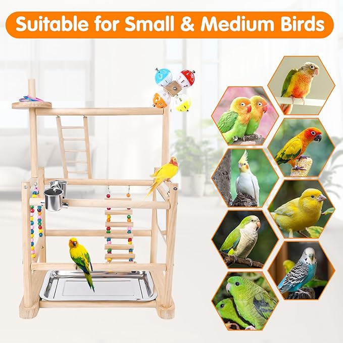 Bird Playground, Parrot Playground Parrot Perch Stand 3 Layer Bird Tree Stand with Feeder Cups, Ladder, Parakeet Mirror, Parakeet Toys and Removable Tray for Small to Medium Birds