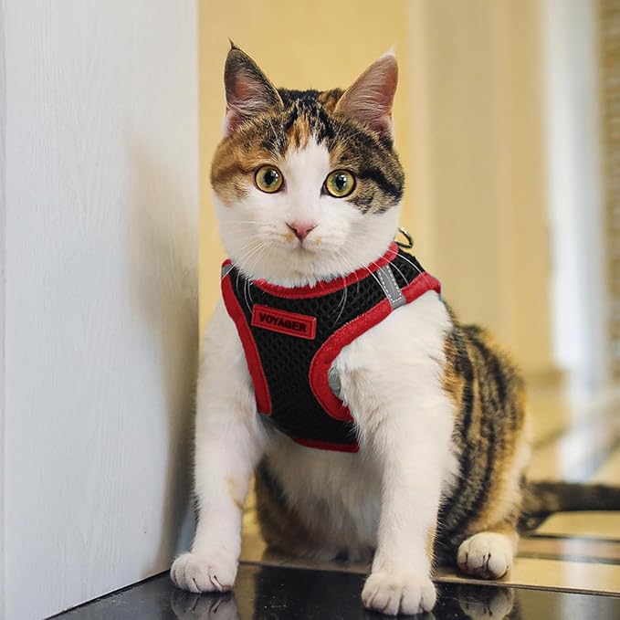 Voyager Step-in Air All Weather Mesh Harness and Reflective Dog 5 ft Leash Combo with Neoprene Handle, for Small, Medium and Large Breed Puppies by Best Pet Supplies - Red Trim, M