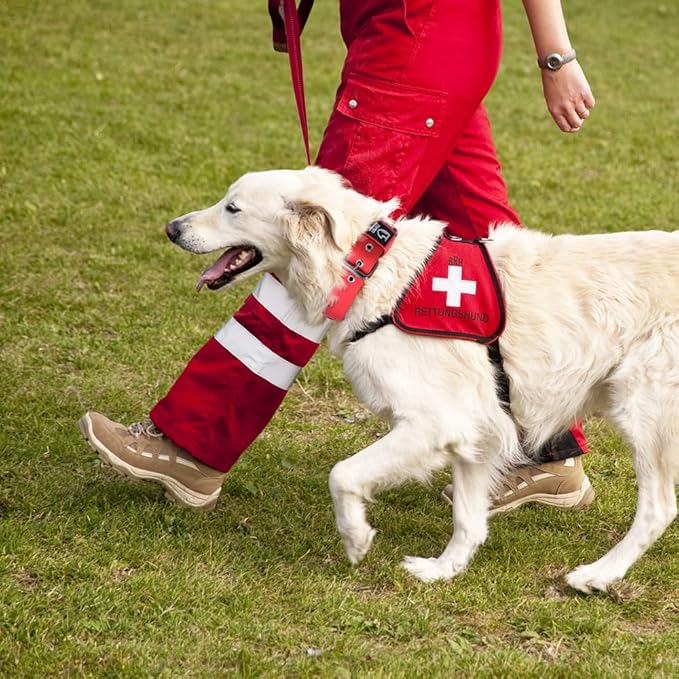 TSPRO Tactical Dog Collar 1.5 Inch Wide Thick Dog Collars with Heavy Duty Metal Buckle, Durable, Strong, Adjustable for Medium to Large Dogs (Red L)