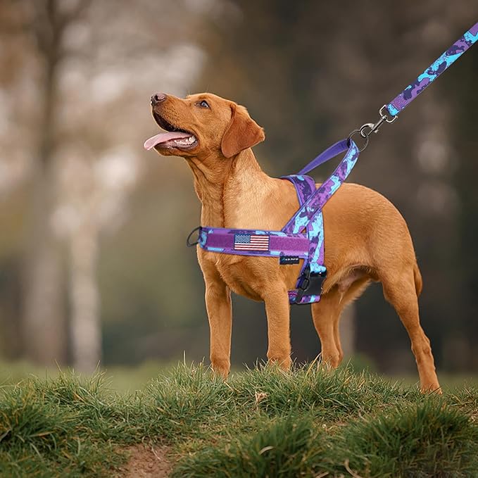 Annchwool No Pull Dog Harness with Soft Padded Handle,Escape Proof and Quick Fit to Adjust Dog Harness,Easy for Training Walking for Small & Medium and Large Dogs(Camo Purple,M)