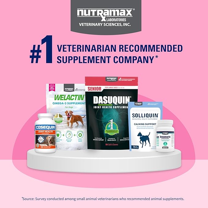 Nutramax Proviable Probiotics for Dogs and Cats, Daily Digestive Health Supplement with Multiple Strains of Bacteria, Cat and Dog Probiotics Plus Prebiotics, 80 Capsules