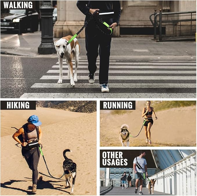 Plutus Pet Hands Free Dual Handle Retractable Bungee Leash with Reflective Stitches, Adjustable Waist Leash for Dog Walking, Running, Jogging, Medium Large Dogs