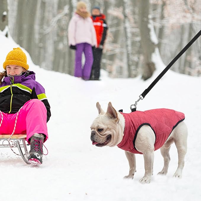 SCENEREAL Winter Dog Vest Coat with Harness Built In, Warm Puppy Jacket for Small Medium Dogs, Cold Weather Coat with Zipper, Fleece Puffer Vest Windproof Snow Clothes