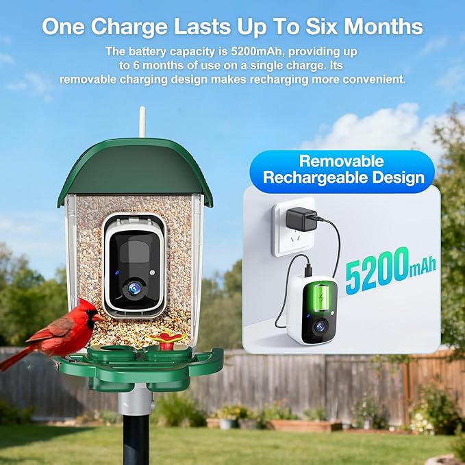 Smart Bird Feeder with 3MP HD Camera & AI Identify, Hummingbird Feeder with Solar Panel, Supports Two-Way Audio, Instant Arrival Alerts, Birdhouses for Outdoors, Gifts for Bird Lovers, Green