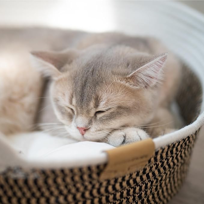 CHEERHOME PETS Cat Bed Basket with Cushion, Cute Pet Bed for Indoor Cats Couch, Kitten Bed for Medium and Large Cat, All Season Universal (Brown)