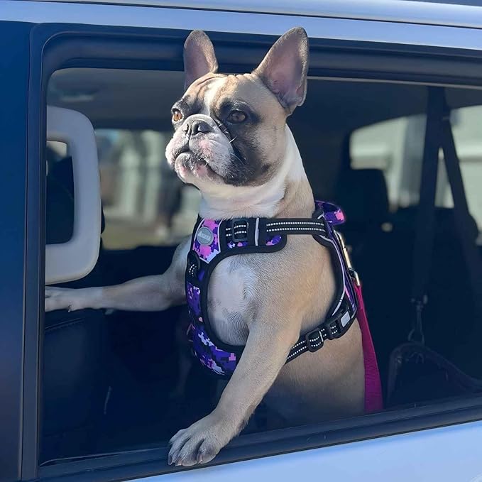 Auroth Tactical Dog Harness for Small Medium Large Dogs No Pull Adjustable Pet Harness Reflective K9 Working Training Easy Control Pet Vest Military Service Dog Harnesses (M, Purple Camo)