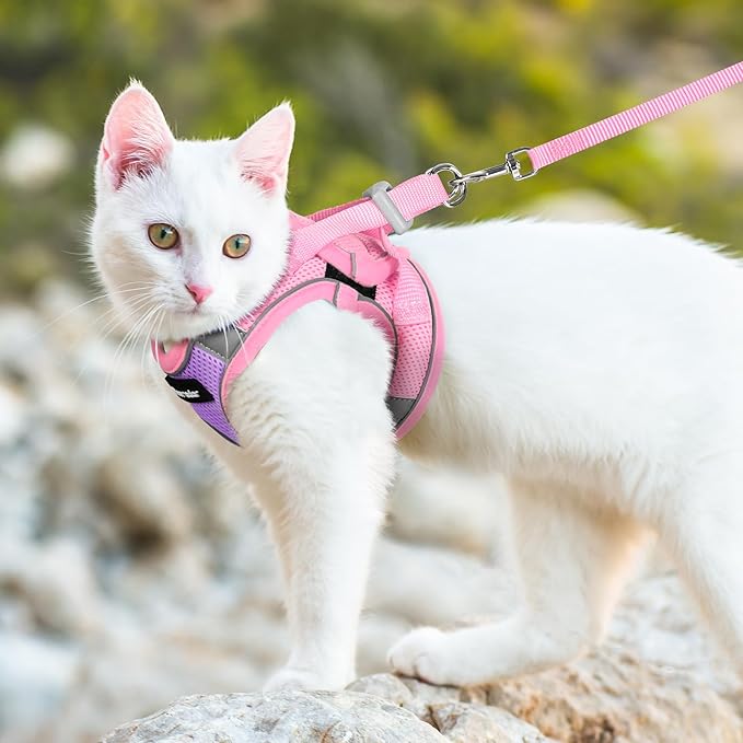 Dooradar Cat Harness and Leash Set, Escape Proof Lightweight Kitten Harness, Soft Breathable Reflective Vest for Outdoor Walking Traveling, Adjustable for Medium Cats, Purple & Pink, M
