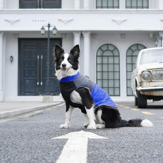 Warm Fleece Dog Coats for Large Dogs,D-Rings Waterproof Puppy Jacket for Cold Winter,Blue XXXL