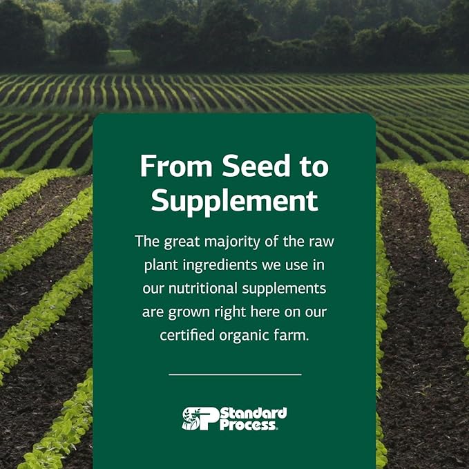 Standard Process Inc. Feline Enteric Support - 90 Tablets