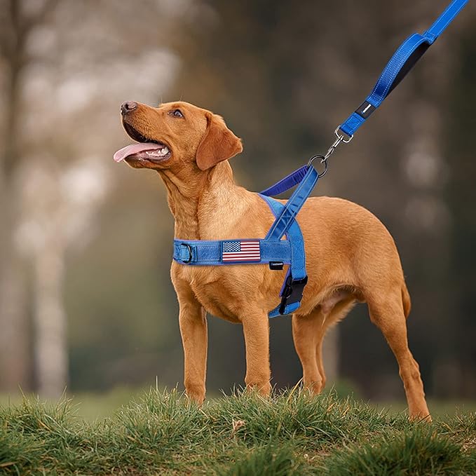 Annchwool No Pull Dog Harness with Soft Padded Handle,Reflective Strip Escape Proof and Quick Fit to Adjust Dog Harness,Easy for Training Walking for Small & Medium and Large Dogs(Blue,M)