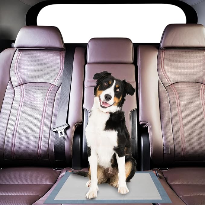 BV Puppy Pads XL 320 Count 28"x34" - Leak-Proof Pee Pads for Dogs with 6-Layer Design, Rapid Dry Sheet & Attractant - Dog Pad Extra Large with Odor Control - Perfect for Big Dogs & Indoor Use