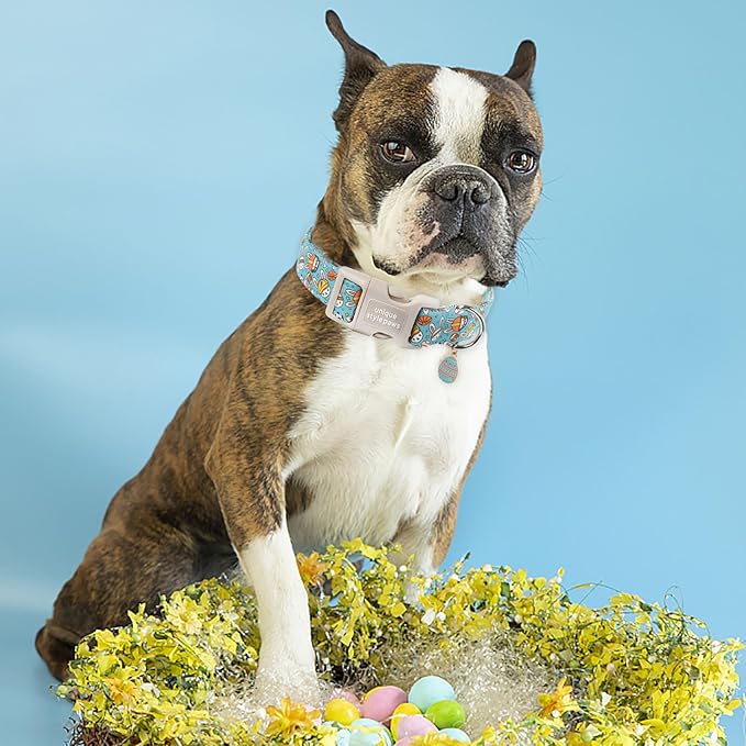 Unique style paws Easter Dog Collar Plastic Buckle Puppy Collar with Pendant Blue Sports Rabbit Ball Egg Puppy Collars for Small Medium Large Boys Girls Dogs