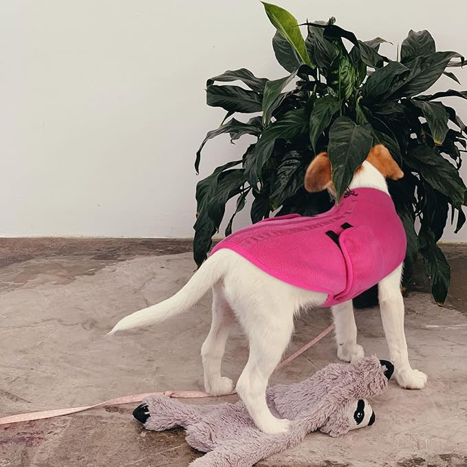 Queenmore XXS Dog Sweater, Soft Fleece Vest Pullover Dog Jacket with Leash Hole, Warm Winter Dog Clothes Cold Weather Doggy Dachshund Sweaters for Small Dogs Cats Boy or Girl (Pink, XXS)