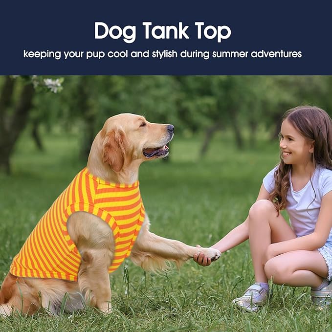 IECOii 2 Pack Dog T-Shirt for Small Dogs | Breathable Stretch Fit for Summer, UV Sun Protection for Chihuahua & Cats, Orange+Stripes,M