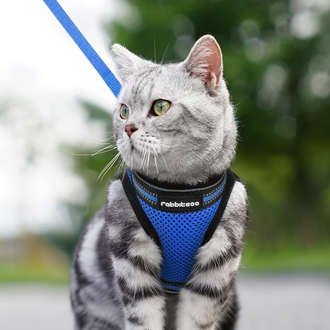 rabbitgoo Cat Harness and Leash Set for Walking Escape Proof, Adjustable Soft Kittens Vest with Reflective Strip for Cats, Comfortable Outdoor Vest, Blue, M